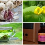 Les méthodes traditionnelles de traitement otodektoz