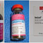 Les médicaments pour la piroplasmose chez les chiens