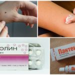 Premiers secours pour les morsures de tiques