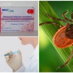 Vaccination contre l'encéphalite à tiques