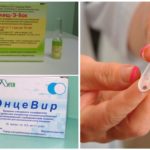 Vaccins contre l’encéphalite à tiques