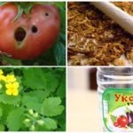 Lutte antiparasitaire populaire