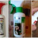 Sprays pour chiens contre les tiques