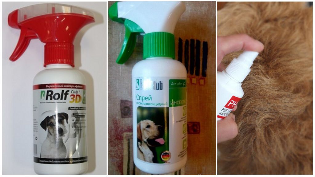 Sprays pour chiens contre les tiques
