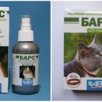 Collier et spray Léopard contre les tiques pour les chats