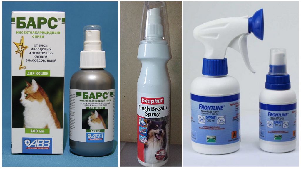 Spray acarien