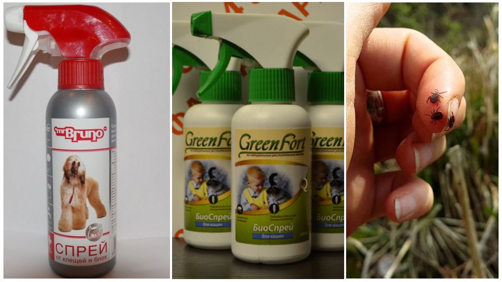 Sprays pour chiens contre les tiques