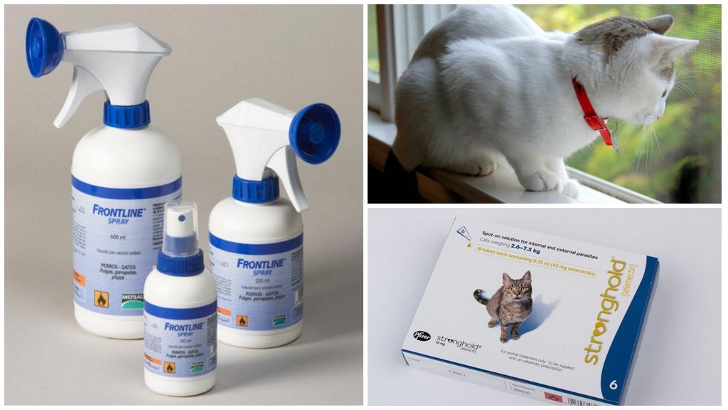 Produits de protection contre les tiques
