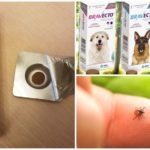 Comprimés de tiques pour chiens Bravekto