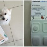 Comprimés à tiques