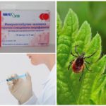 Vaccination contre l'encéphalite à tiques