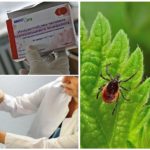 Vaccin contre l'encéphalite à tiques