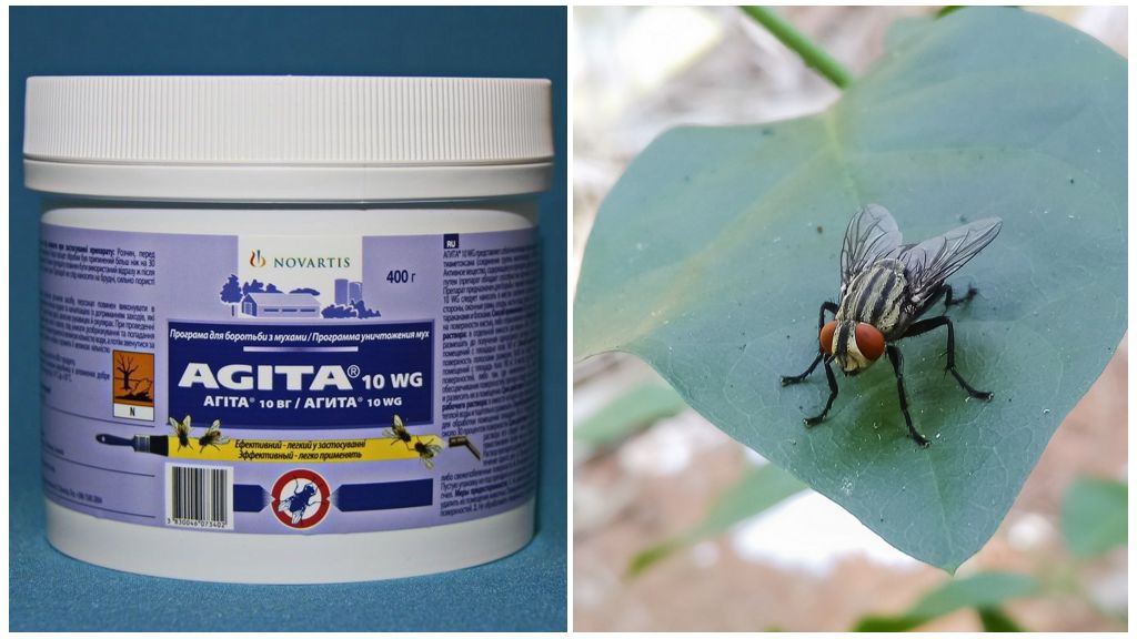 L'utilisation d'Agita des mouches