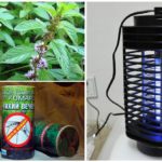Iba't ibang paraan ng pakikipaglaban sa mga insekto