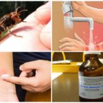 Actions après une piqûre d'insecte