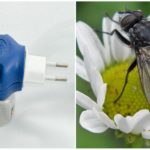 Fumigator avec des assiettes de mouches