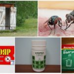 Remèdes contre les mouches dans les toilettes
