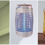 Types de pièges à mouches