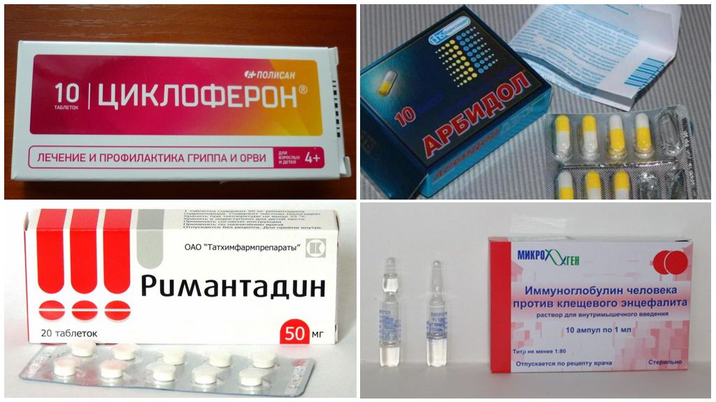 Médicaments prescrits après une morsure de tique