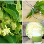 Recettes populaires pour le traitement de la démodécie
