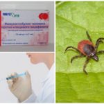Immunoglobuline de l'encéphalite transmise par les tiques