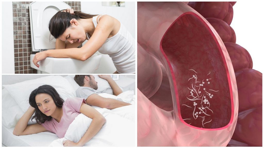 Effets de l'inérobiose