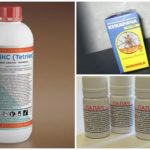 Insecticides professionnels de guêpes