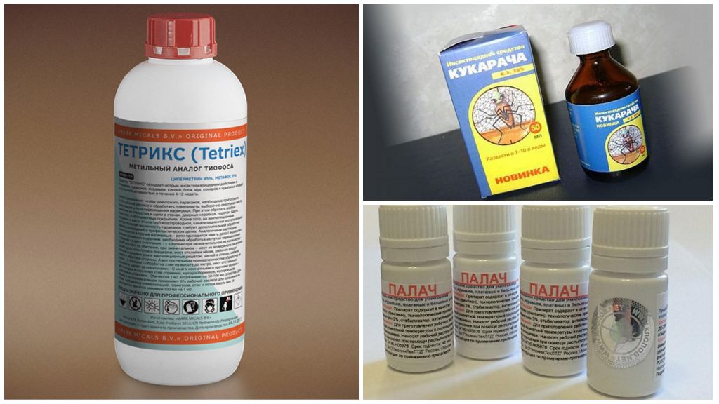 Insecticides professionnels de guêpes