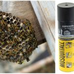 Aérosol pour moustiques provenant de guêpes et de nids de guêpes