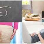 Oxyures chez les adultes