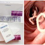 Helminthes pyrantel
