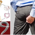 Le cycle de développement des oxyures