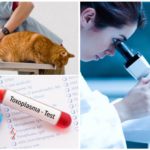 Tests de giardiase