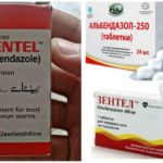 Benzimidazoles contre Giardia