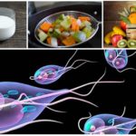 Régime alimentaire dans le traitement de Giardia