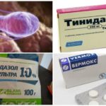 Traitement de Giardia chez les chiens