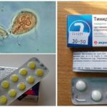 Préparations pour le traitement de Giardia