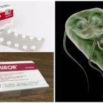 Préparations pour le traitement de Giardia
