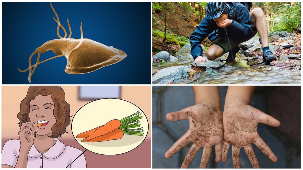 Causes de lamblia