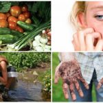 Causes de l'infection parasitaire