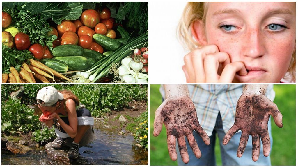 Causes de l'infection parasitaire