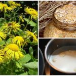 Recettes folkloriques pour la toxocarose