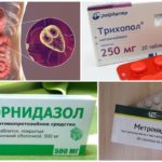 Remèdes anti-Giardia au nitroimidazole